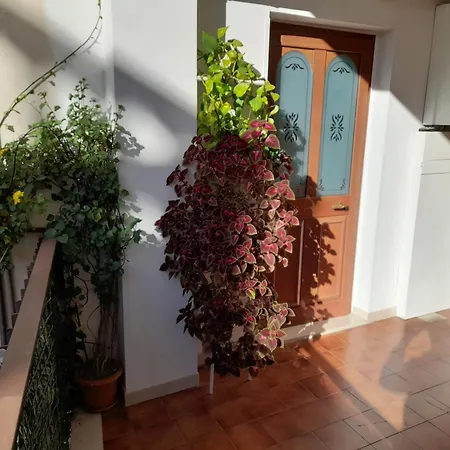 Casamia Appartement *