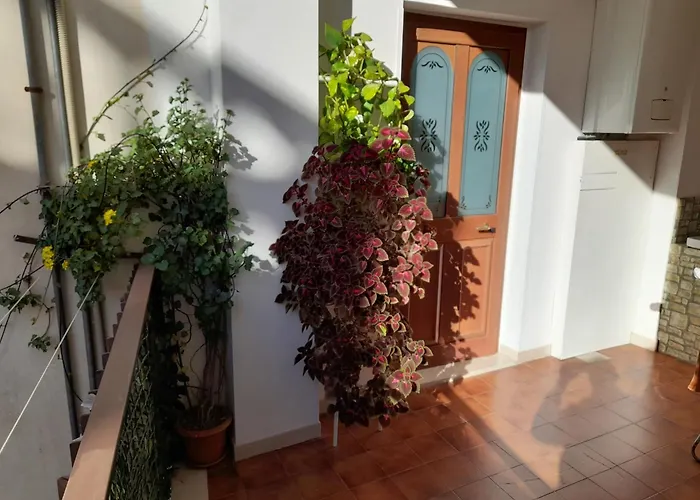 Casamia شقة *